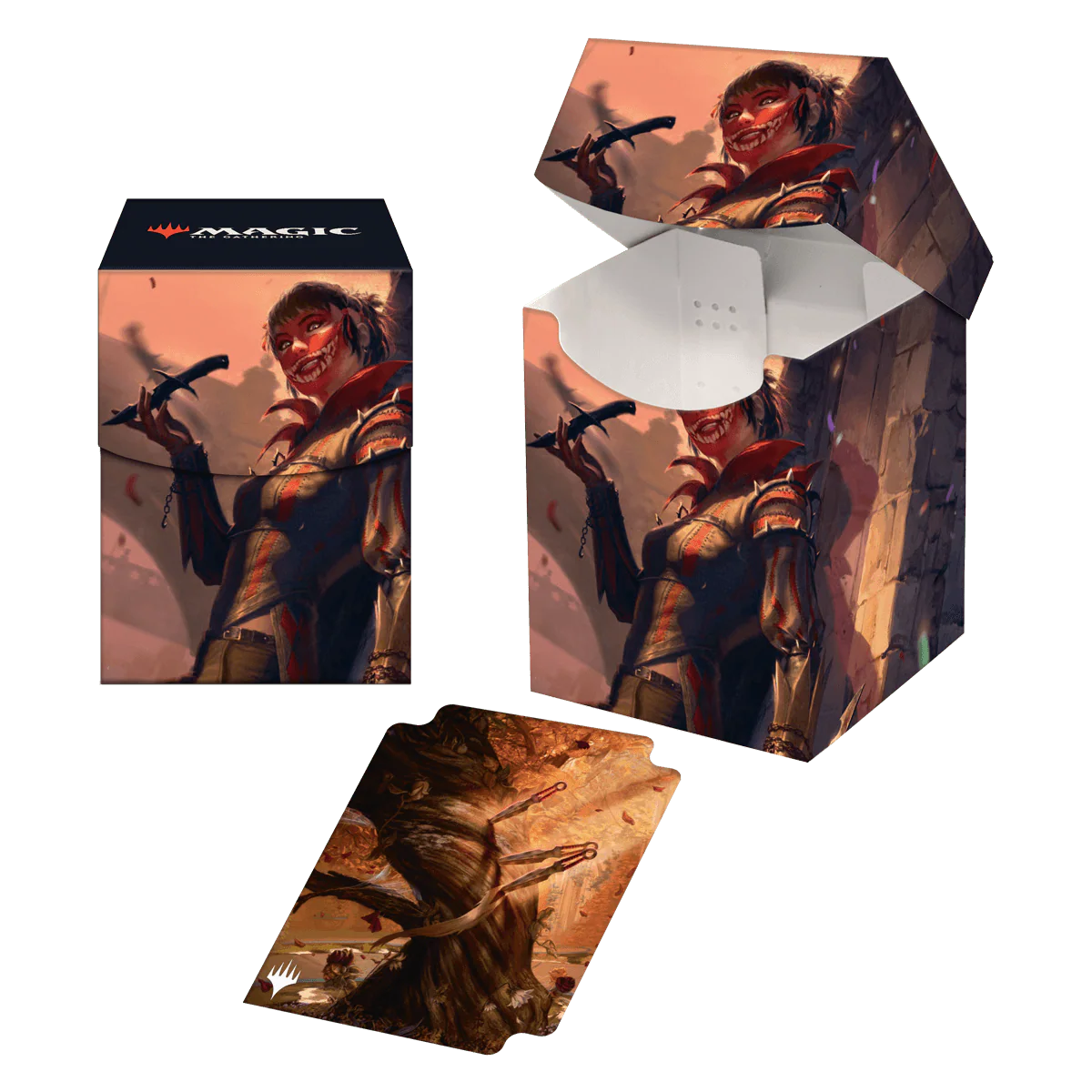 Thumbnail 1